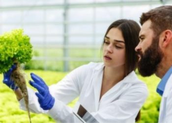 En az lise mezunu ziraat teknikeri alımı yapacak!