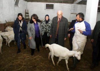 Eşinin altınlarıyla iş kurdu hibe desteğiyle başarı sağladı