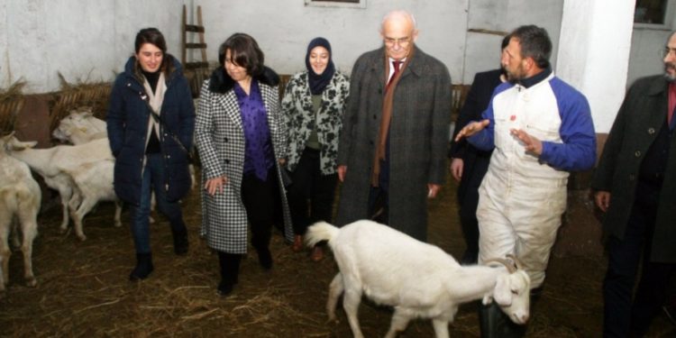 Eşinin altınlarıyla iş kurdu hibe desteğiyle başarı sağladı