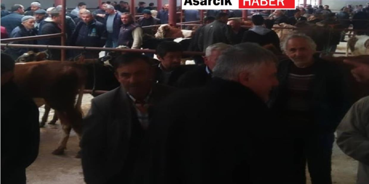 Asarcık’ta Bu hafta Hayvan Pazar Kapalı olacak mı?