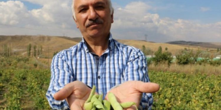 8 kilo ekti 2 ton ürün elde etti
