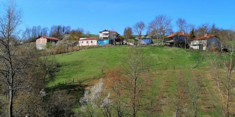 Asarcık’ta bir mahallede yıllardır  elektrik ve su sıkıntısı yaşanıyor…
