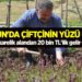 Samsun’da çiftçinin yüzü güldü