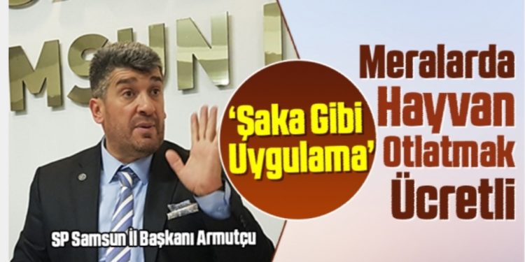 SP Samsun İl Başkanı Armutçu: Meralarda Hayvan Otlatmak Ücretli