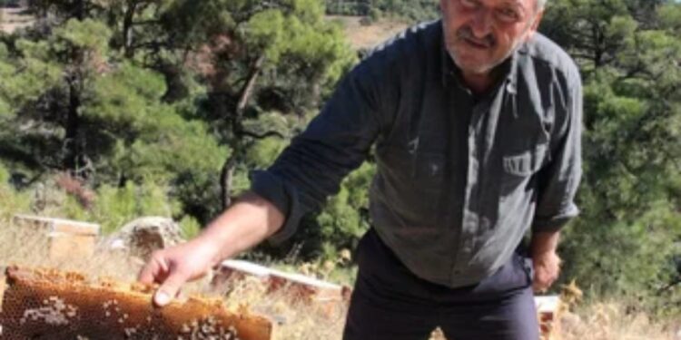 Arıcılar şaşkın arılar ‘Allah’ yazıp, kovanı terk ediyorlar