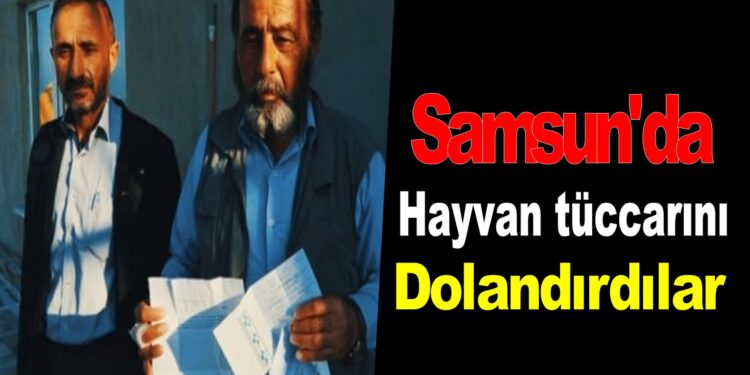 Samsun’da Hayvan tüccarını dolandırdılar