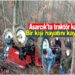 Son dakika:Asarcık’ta Traktör kazasında bir kişi hayatını kaybetti