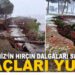 Karadeniz’in hırçın dalgaları Samsun’da ağaçları yuttu