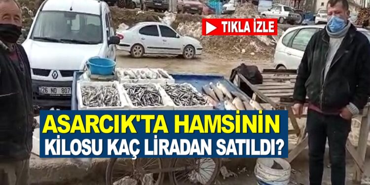Asarcık cuma pazarında hamsinin kilosu kaç liradan satıldı?