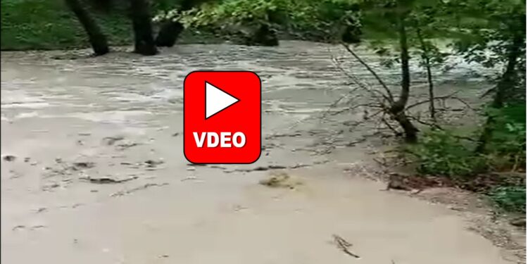 Samsun Asarcık’ta aşırı yağan yağmur sele dönüştü