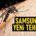 ‘Asya kaplan sivrisineği’ Samsun’da da görüldü