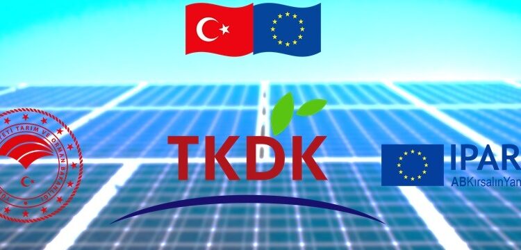 ASYEG Asarcık Yerel Kalkınma Stratejisi 2021 Yıllık Uygulama Planı
