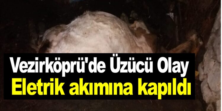 Vezirköprü’de üzücü olay…Elektrik akımına kapıldı!