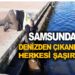 SAMSUN’DA DENİZDEN ÇIKANLAR HERKESİ ŞAŞIRTTI