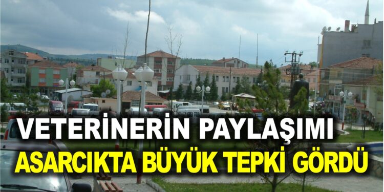 SAMSUN ASARCIK’TA VETERİNERİN PAYLAŞIMINA BÜYÜK TEPKİ GELDİ