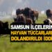 SAMSUN İLÇELERİNDE HAYVAN TÜCACCARLARINI DOLANDIRAN ŞEBEKE İŞ BAŞINDA