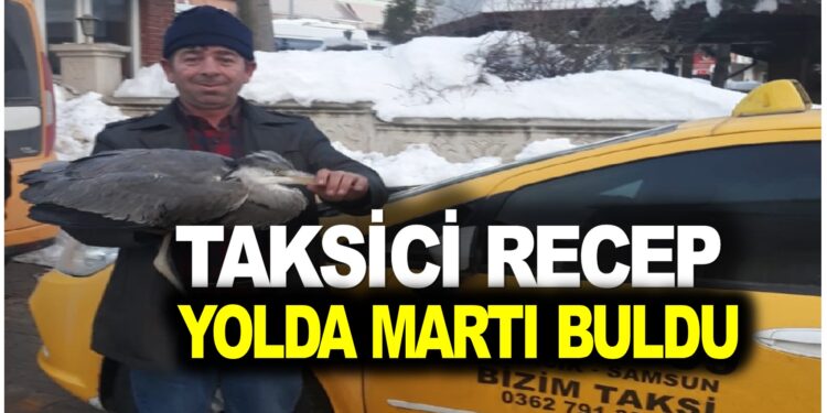 TAKSİCİ RECEP YOLDA MARTI BULDU