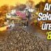 Amasya Şeker’den üreticiye ‘800 TL’