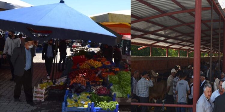 ASARCIKTA SEBZE PAZARI YARIN KURULACAK, HAYVAN PAZARI  KAPALI OLACAK