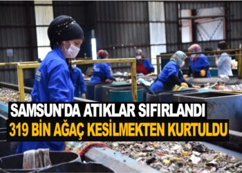 SAMSUN ‘DA ATIKLAR SIFIRLANDI, 319 BİN AĞAÇ KESİLMEKTEN KURTULDU