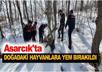 ASARCIK’TA JANDARMA DOĞADAKİ HAYVANLARA YEM BIRAKTI