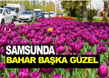 SAMSUN’DA BAHAR BAŞKA GÜZEL