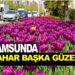 SAMSUN’DA BAHAR BAŞKA GÜZEL