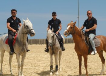SAMSUN BÜYÜKŞEHİRE AİT ATLI SPOR TESİSİ DİKKAT ÇEKİYOR