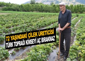 72 YAŞINDAKİ ÇİLEK ÜRETİCİSİ İSMAİL HAKKI: ”TÜRK TOPRAĞI KİMSEYİ AÇ BIRAKMAZ”