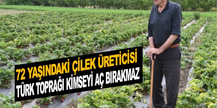 72 YAŞINDAKİ ÇİLEK ÜRETİCİSİ İSMAİL HAKKI: ”TÜRK TOPRAĞI KİMSEYİ AÇ BIRAKMAZ”