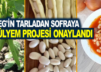 ASYEG’İN TARLADAN SOFRAYA FASÜLYEM PROJESİ ONAYLANDI