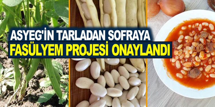 ASYEG’İN TARLADAN SOFRAYA FASÜLYEM PROJESİ ONAYLANDI
