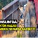 SAMSUN’DA TRAKTÖR KAZASI: 2 KARDEŞ HAYATINI KAYBETTİ