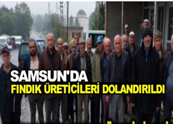 SAMSUN’DA FINDIK ÜRETİCİLERİ DOLANDIRILDI