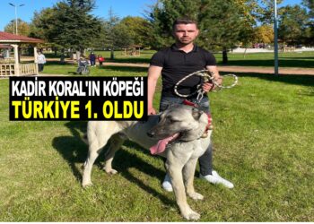 KADİR KORAL’IN KÖPEĞİ TÜRKİYE 1.OLDU