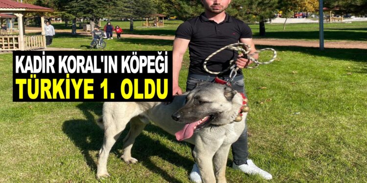 KADİR KORAL’IN KÖPEĞİ TÜRKİYE 1.OLDU