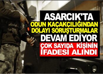 ASARCIKTA ODUN KAÇAKÇILIĞINDAN DOLAYI SORUŞTURMALAR DEVAM EDİYOR