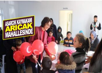 ASARCIK KAYMAKAMI ARICAK MAHALLESİNDE