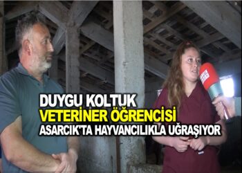 DUYGU KOLTUK ASARCIK’TA 7O TANE HAYVANIN BAKIMLARI TEDAVİLERİ HATTA ALIM SATIMLARINI YAPIYOR