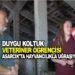 DUYGU KOLTUK ASARCIK’TA 7O TANE HAYVANIN BAKIMLARI TEDAVİLERİ HATTA ALIM SATIMLARINI YAPIYOR