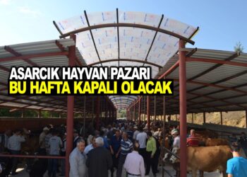 ASARCIK HAYVAN PAZARI BU HAFTA KAPALI OLACAK