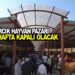 ASARCIK HAYVAN PAZARI BU HAFTA KAPALI OLACAK