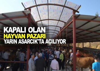 UZUN BİR ARADAN SONRA HAYVAN PAZARI YARIN ASARCIK’TA AÇILIYOR.