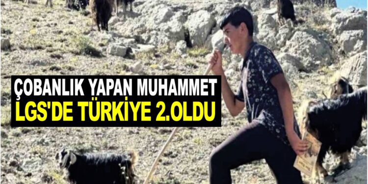 ÇOBANLIK YAPAN MUHAMMET LGS’DE TÜRKİYE 2.OLDU
