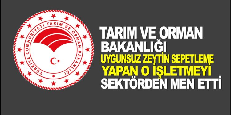 UYGUNSUZ ZEYTİN SEPETLEME YAPAN O İŞLETME SEKTÖRDEN MEN EDİLDİ