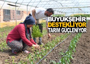 BÜYÜKŞEHİR DESTEKLİYOR, TARIM GÜÇLENİYOR
