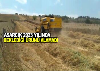 ASARCIK 2023 YILINDA BEKLEDİĞİ ÜRÜNÜ ALAMADI!