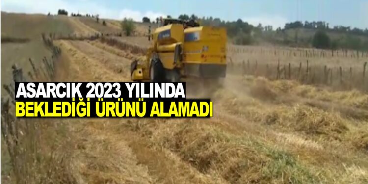ASARCIK 2023 YILINDA BEKLEDİĞİ ÜRÜNÜ ALAMADI!