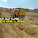 ASARCIK 2023 YILINDA BEKLEDİĞİ ÜRÜNÜ ALAMADI!