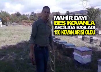 MAHİR DAYI : 5 KOVANLA BAŞLADIĞI ARICILIKTA, ŞİMDİ 150 KOVAN ARISI OLDU